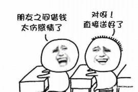 略阳融资清欠服务